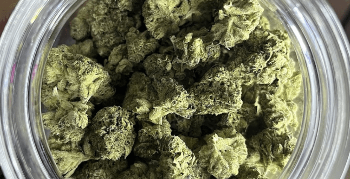 Florence Fresh Buds